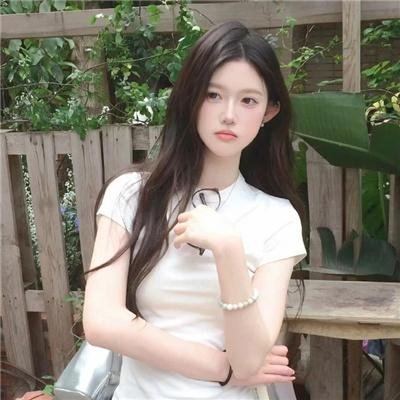雁南飞